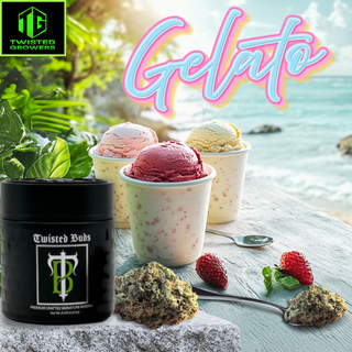 Grown with precision and care in Lakeville, Twisted Buds cannabis is known for its robust flavors, rich aroma, and powerful effects