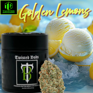Twisted Buds Golden Lemons Strain, every strain of Twisted Buds is crafted with passion, offering cannabis lovers a full-flavor, full-potency experience.  By Twisted Growers