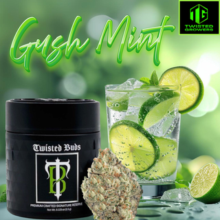 Gush Mint Strain, Twisted Growers premium craft cannabis flower, meticulously cultivated in Massachusetts, offers the purest, most potent strains. Our indoor-grown flower delivers rich flavors and exceptional quality