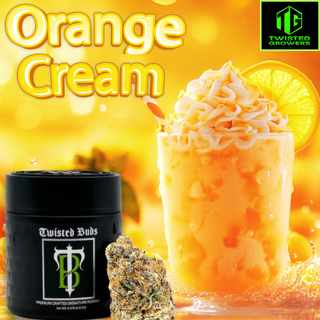 Twisted Buds Orange Cream Strain Twisted Buds is redefining premium craft cannabis with strains that deliver flavor, potency, and unparalleled quality grown in Massachusetts